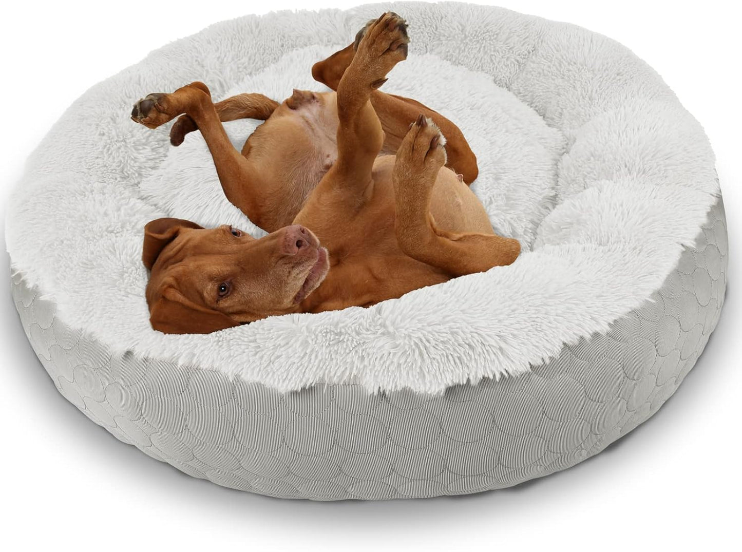 Cama calmante redonda con forma de dona para perros, cama mullida para perros