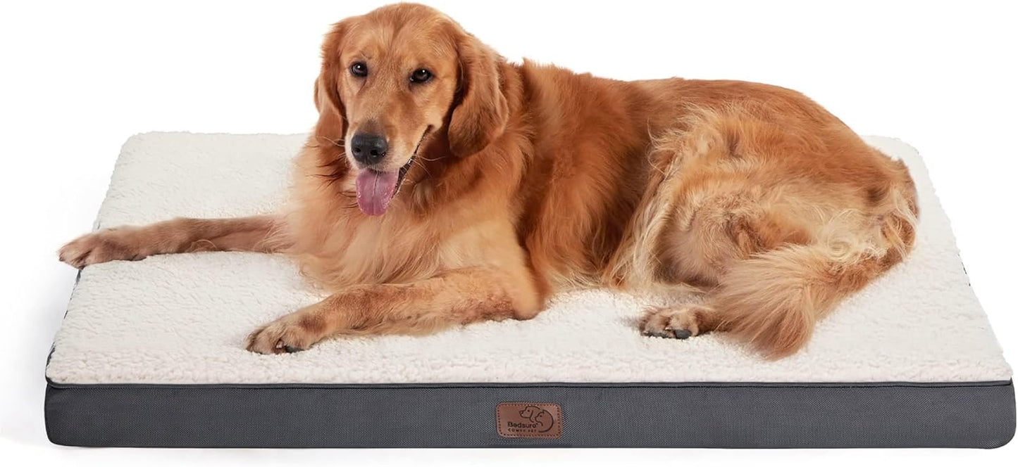 Cama ortopédica grande de espuma para perrosgatos pequeños, medianos, grandes y