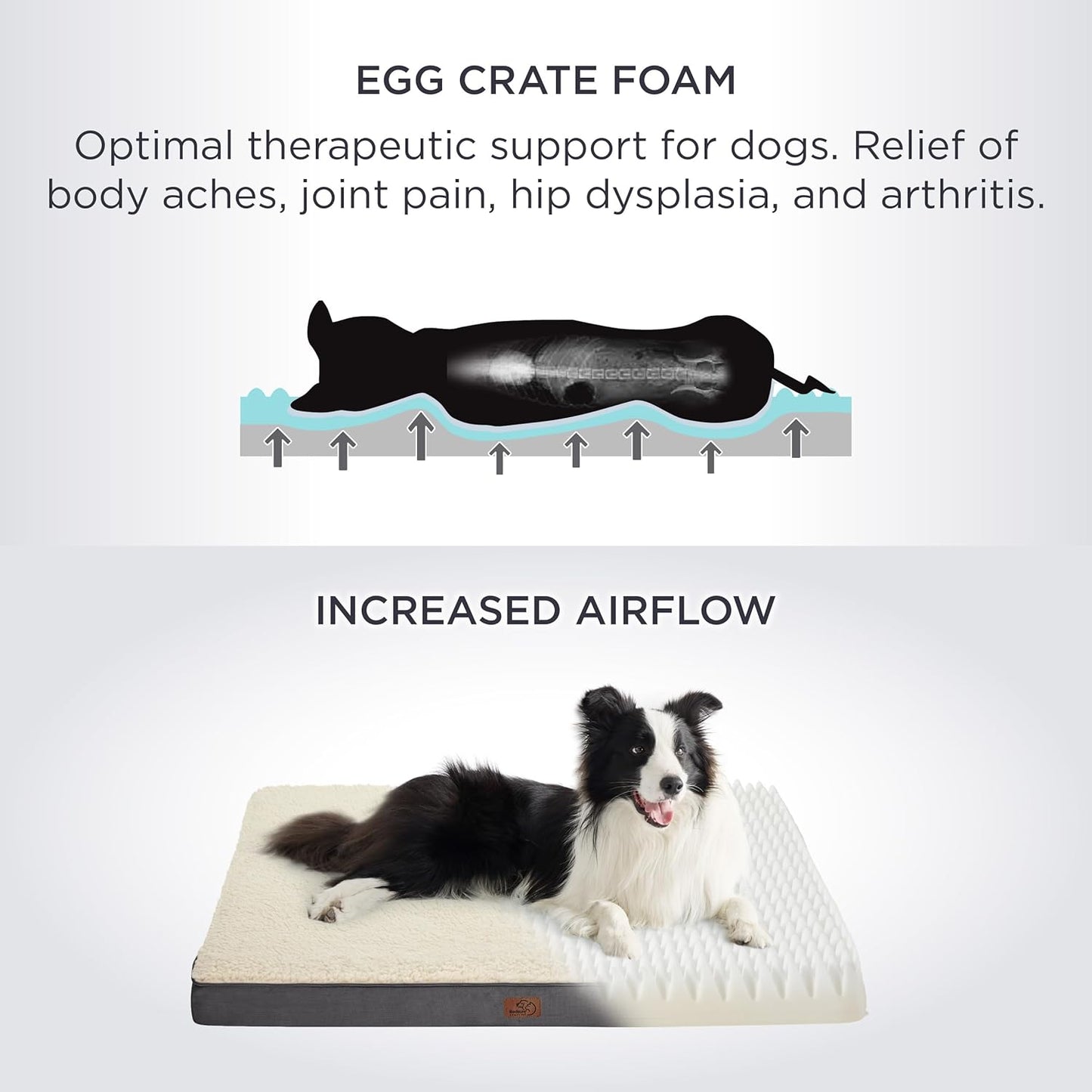 Cama ortopédica grande de espuma para perrosgatos pequeños, medianos, grandes y