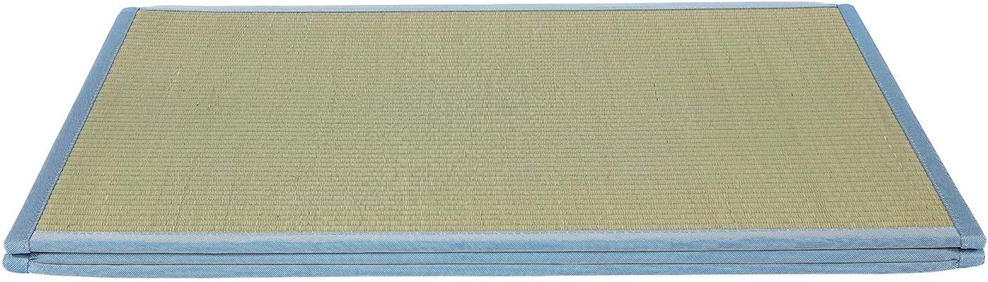 MustMat Tatami Mat Colchón tradicional japonés de tatami que se pliega
