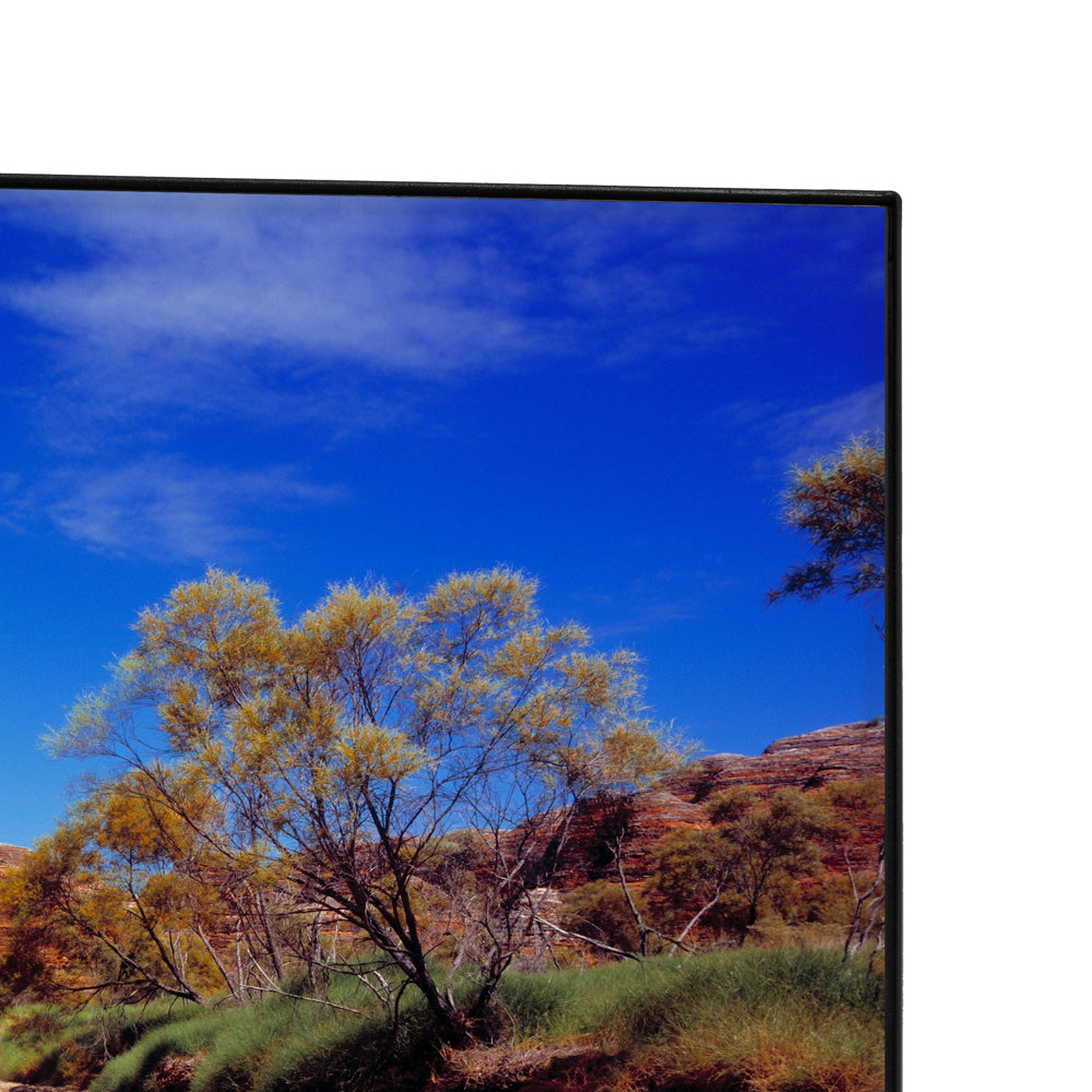 Televisor Challenger 43 Pulgadas Smart Google TV TG81, Color Negro