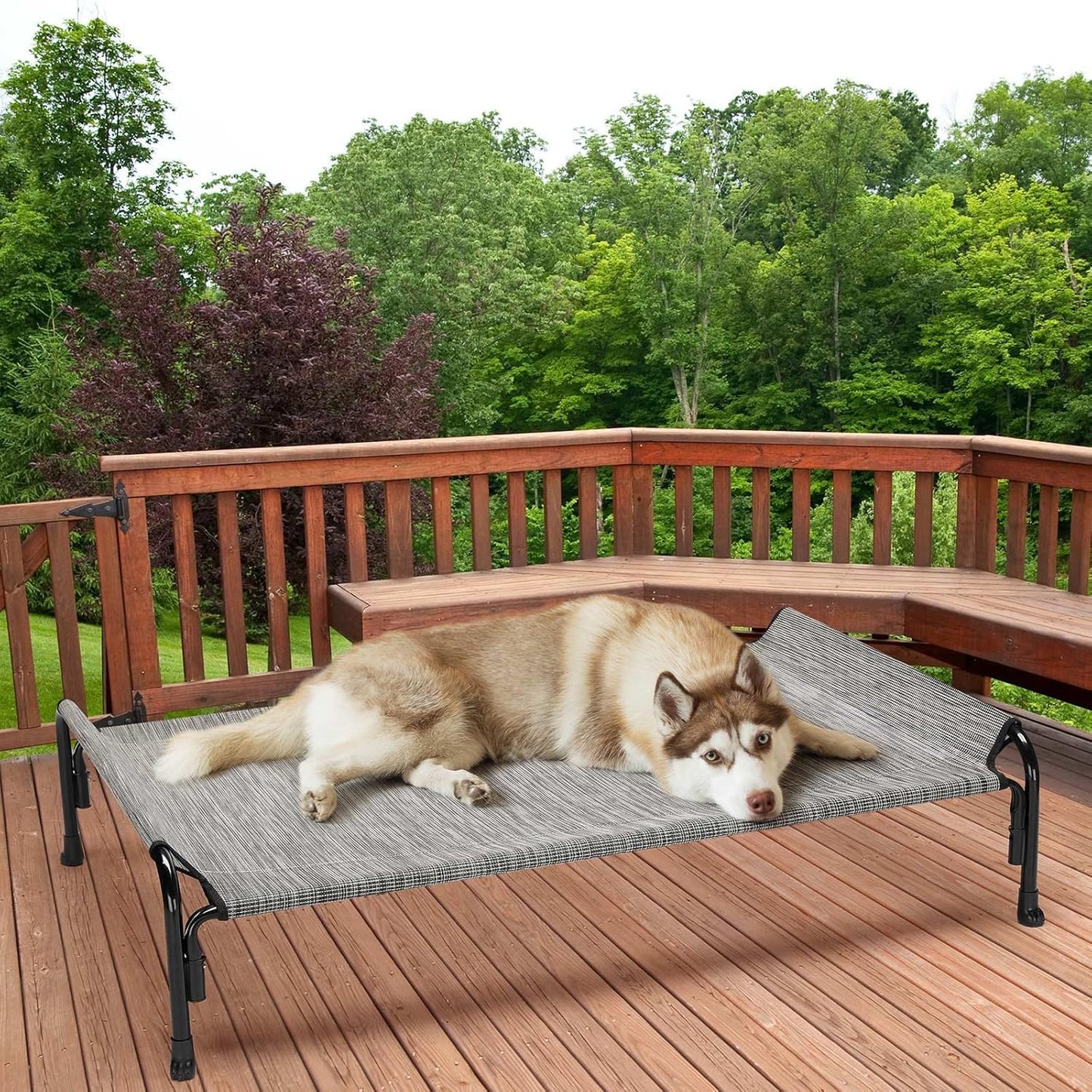 CWC2204 Cama elevada para perros grandes, cama elevada para mascotas con