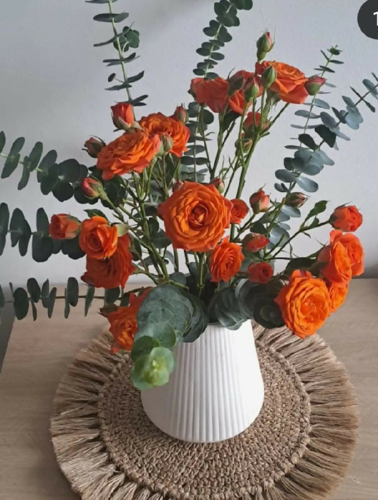 FLOROTÑ-2