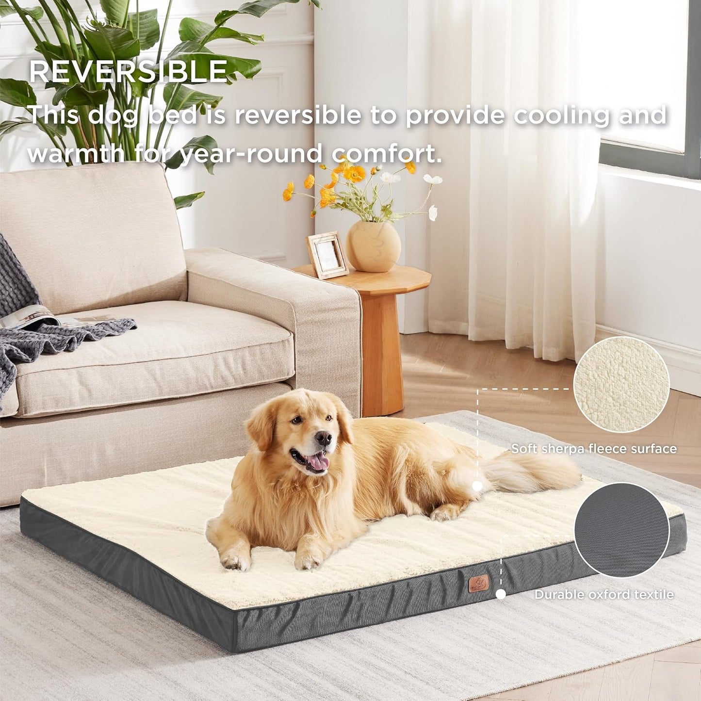 Cama ortopédica grande de espuma para perrosgatos pequeños, medianos, grandes y