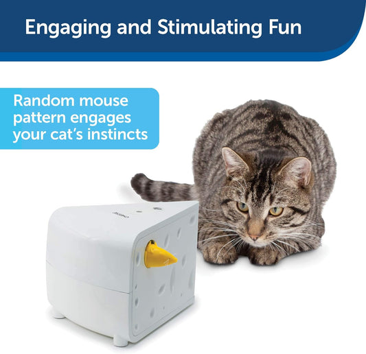 PetSafe Juguetes electrónicos para gatos, queso automático y Peek-A-Bird,
