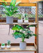 2 plantas falsas de 16 pulgadas, plantas artificiales en maceta para interiores - VIRTUAL MUEBLES