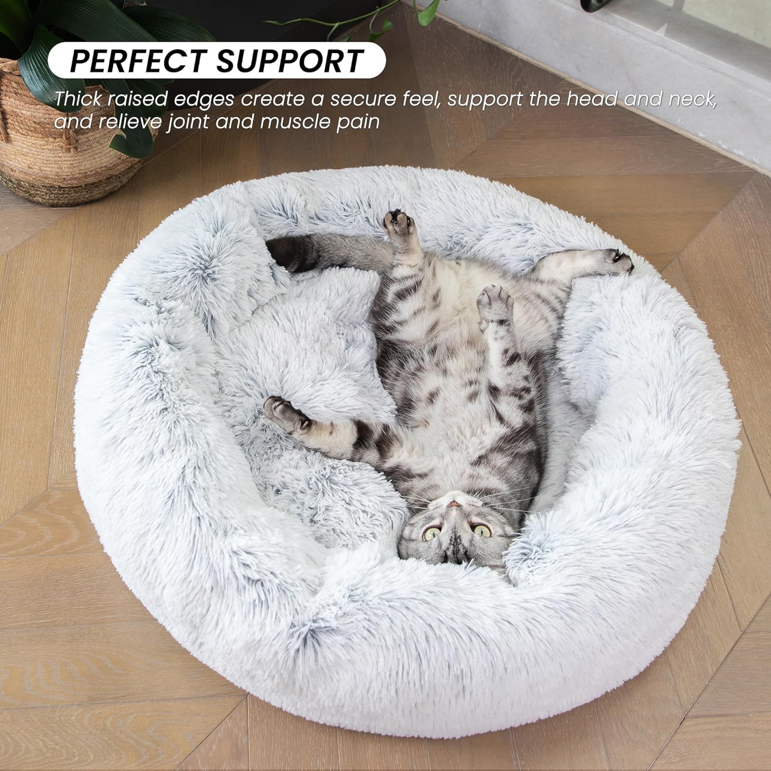Cama de gato para gatos de interior, cama calmante antiansiedad para gatos,