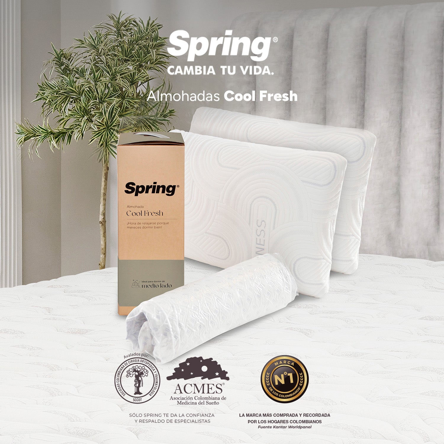 2 X 1 Almohada Spring Cool Fresh