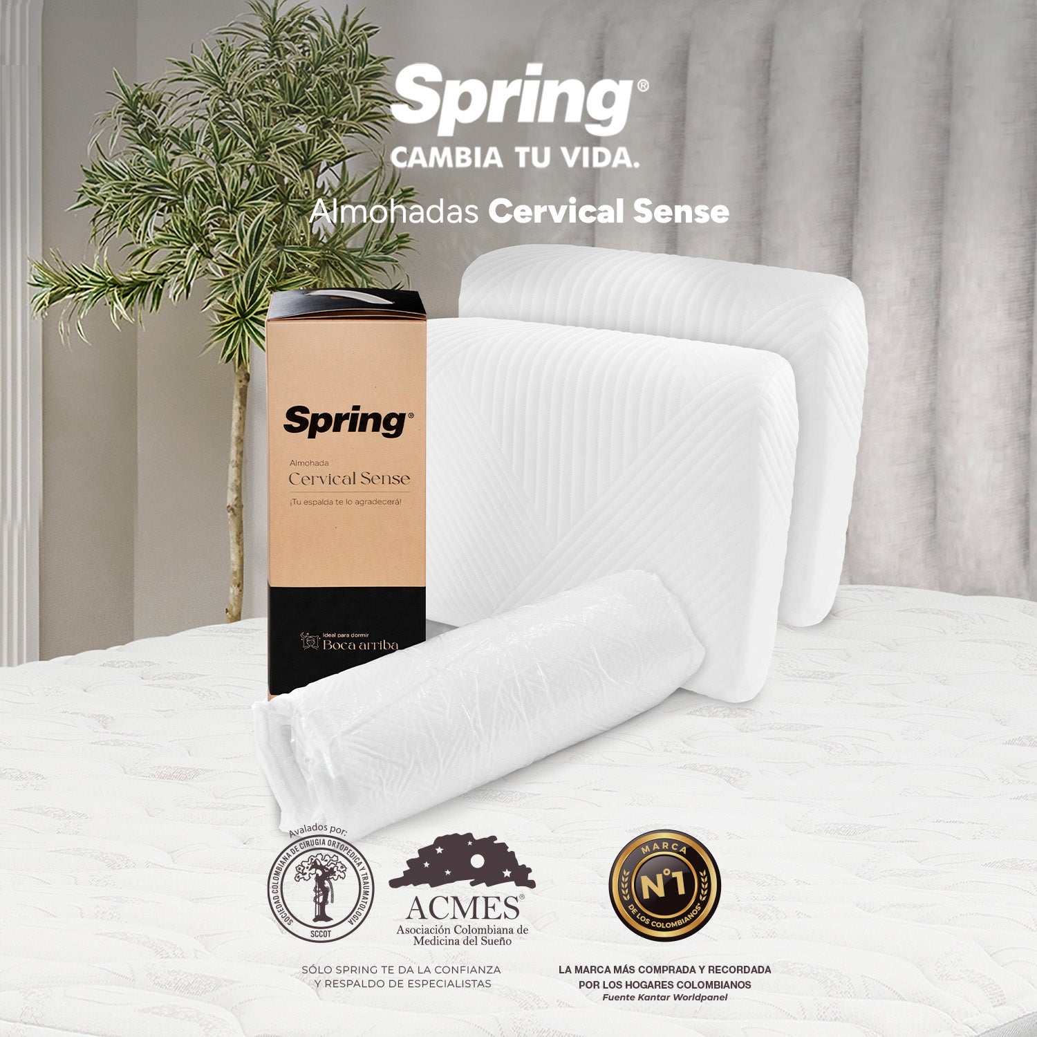 2 X 1 Almohada Spring Cervical Sense