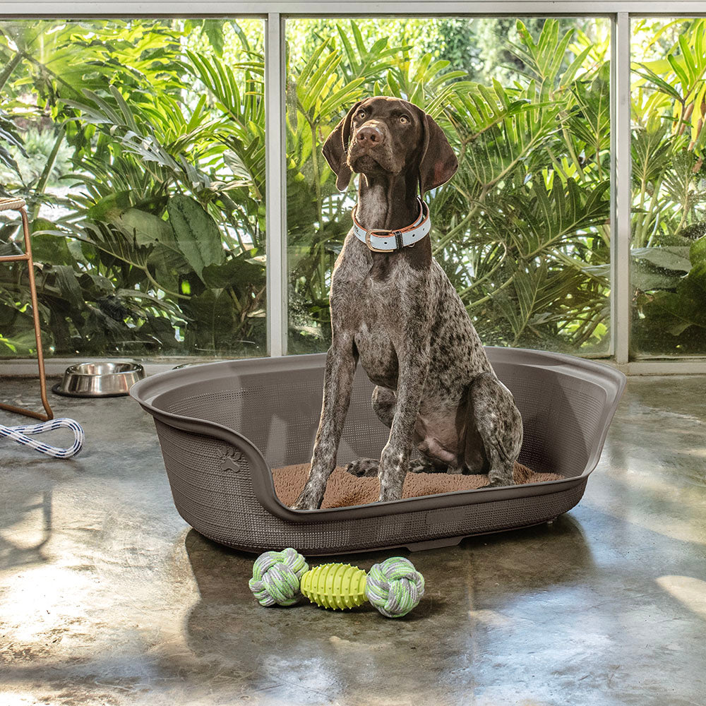 Cama para Perro Mocca