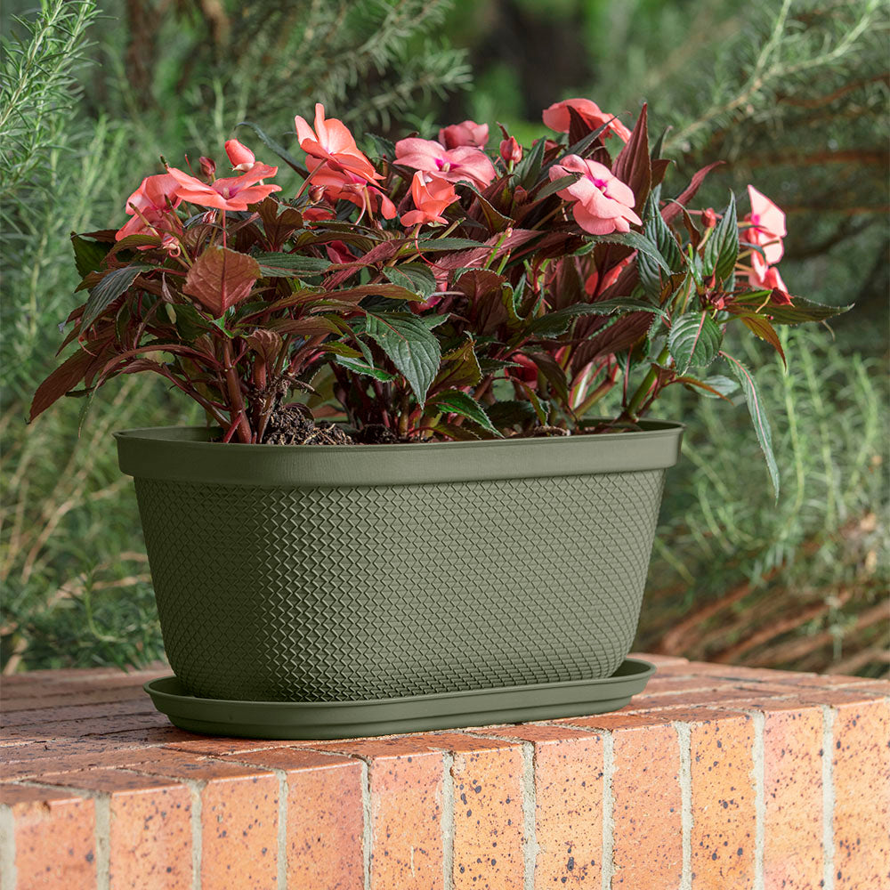 Matera Ovalada Rafia 40 cm con Plato Verde Musgo