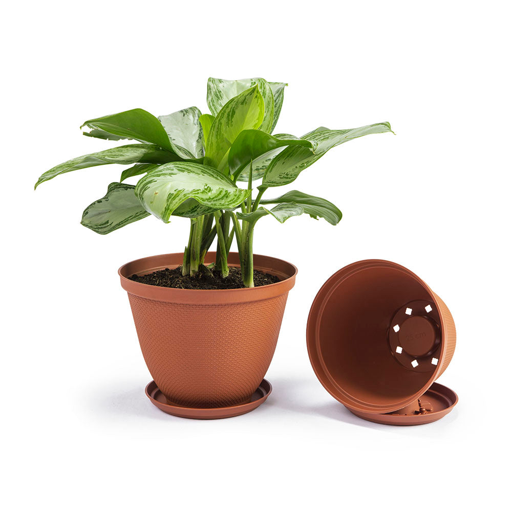Matera Redonda Rafia 30 cm con Plato Terracota