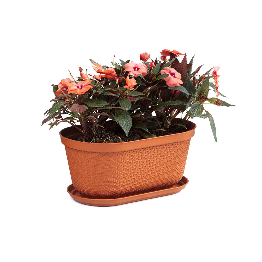 Matera Ovalada Rafia 40 cm con Plato Terracota