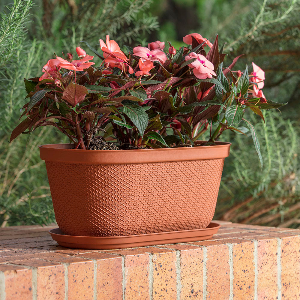 Matera Ovalada Rafia 40 cm con Plato Terracota