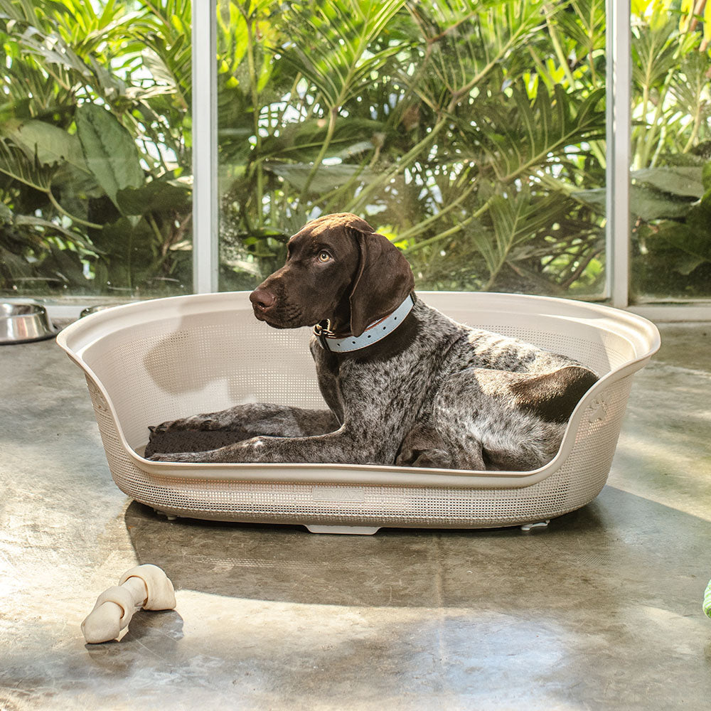 Cama para Perro Taupe