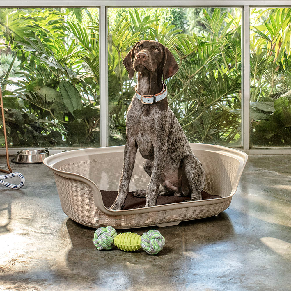 Cama para Perro Taupe