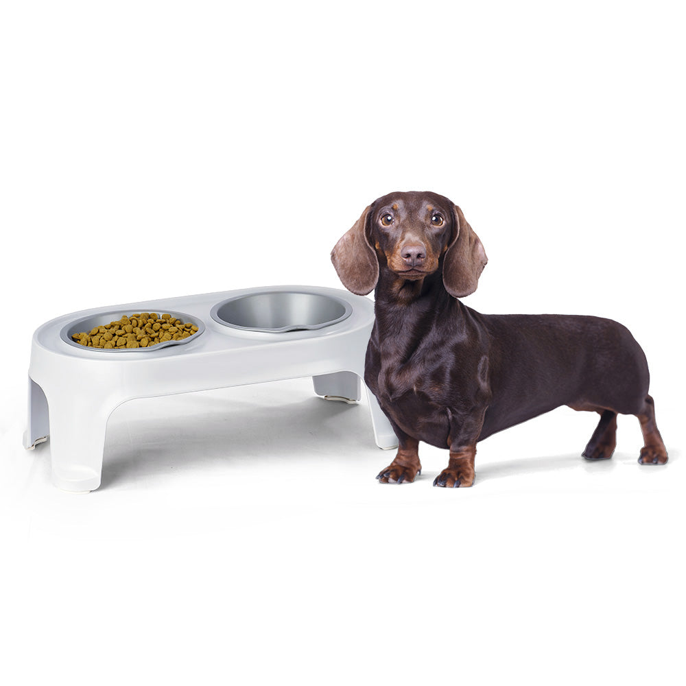 Comedero Alto para Perros Small Gris Hielo