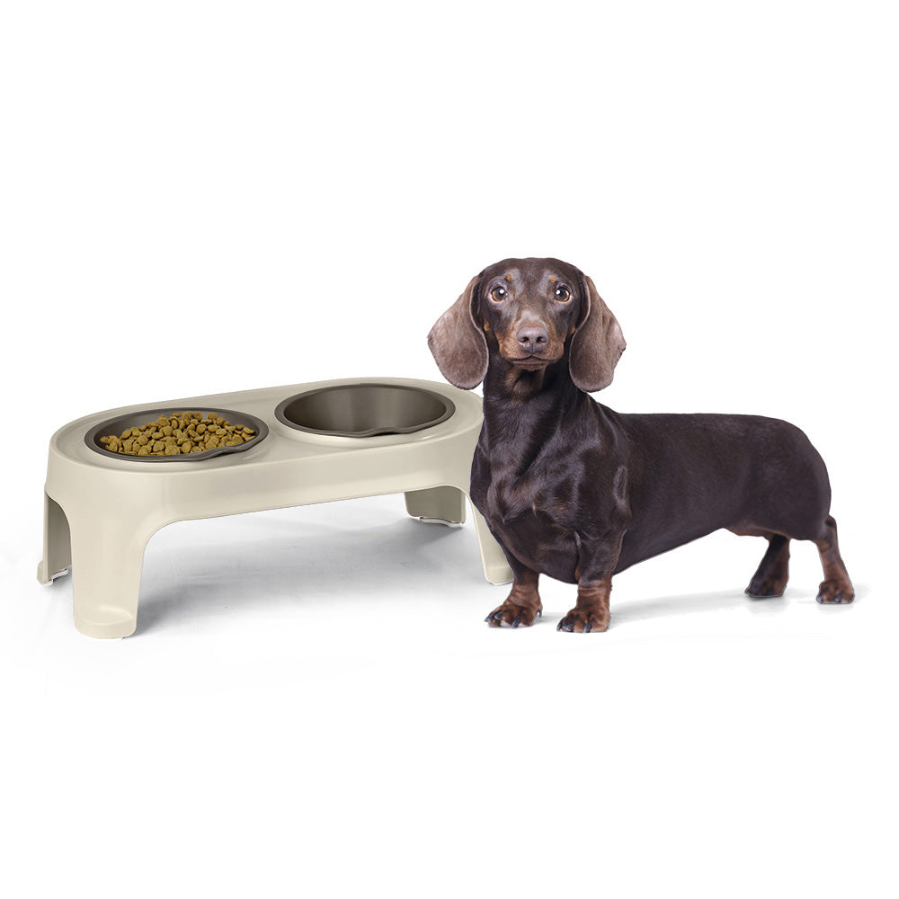 Comedero Alto para Perros Small Taupe