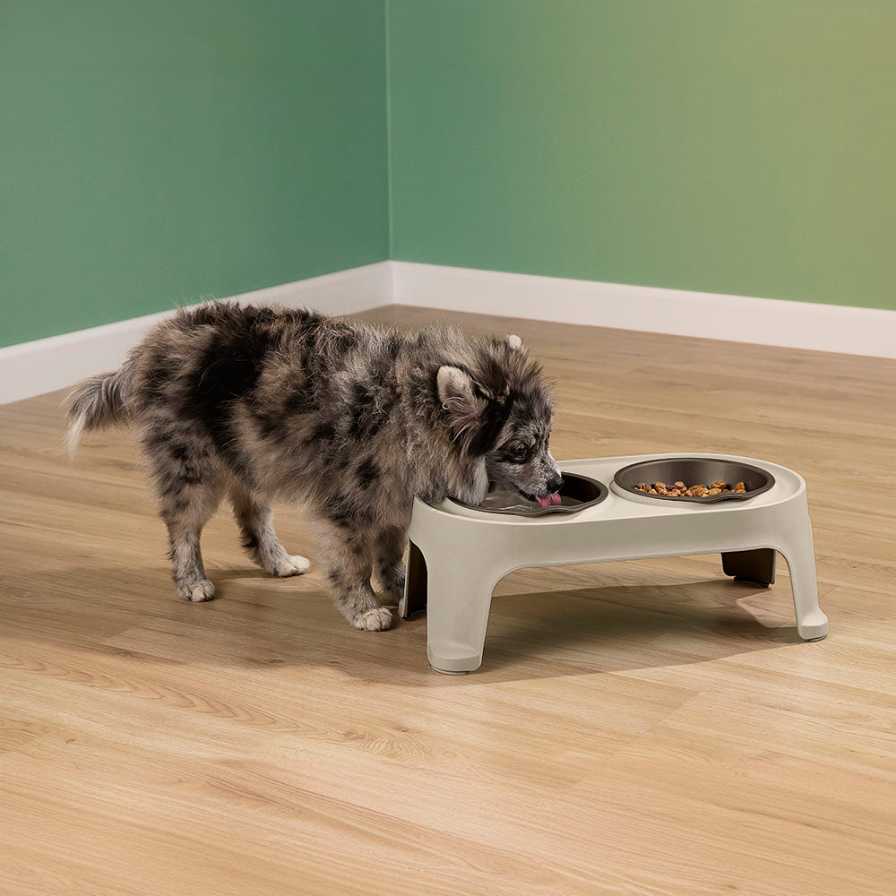 Comedero Alto para Perros Small Taupe