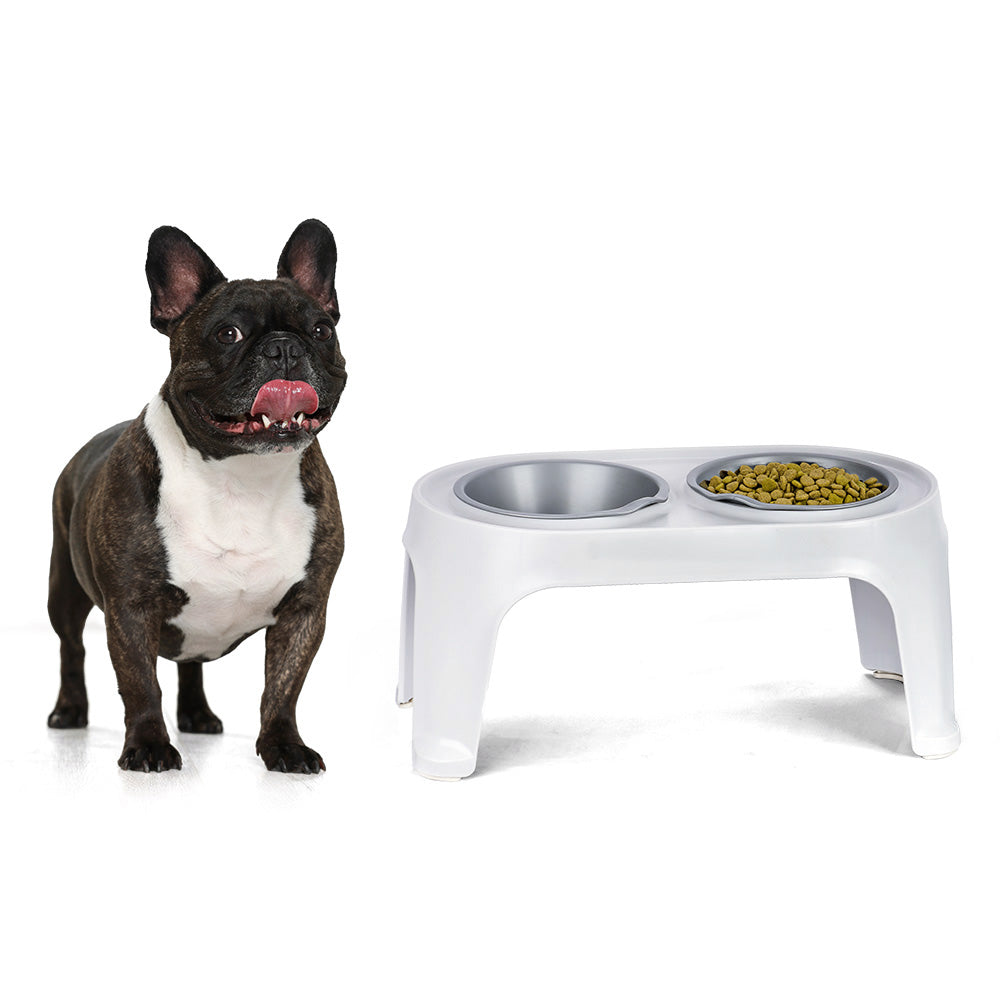 Comedero Alto para Perros Medium Gris Hielo