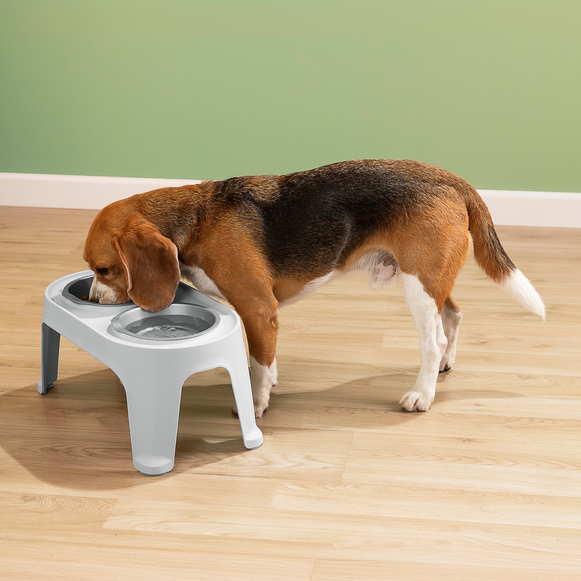 Comedero Alto para Perros Medium Gris Hielo