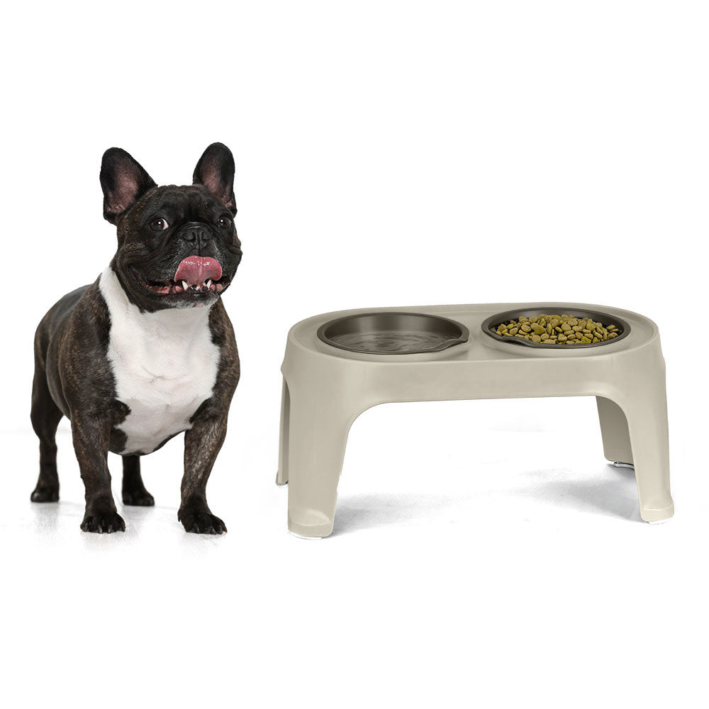 Comedero Alto para Perros Medium Taupe