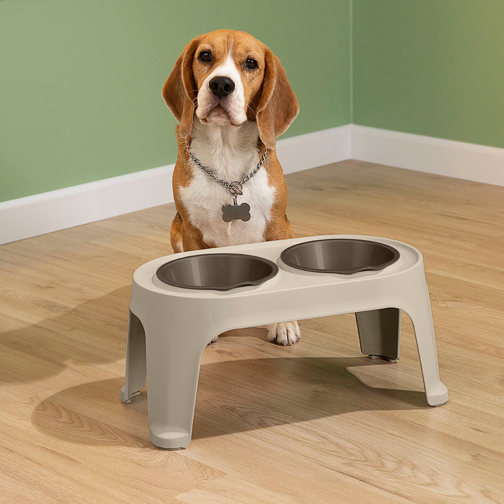 Comedero Alto para Perros Medium Taupe
