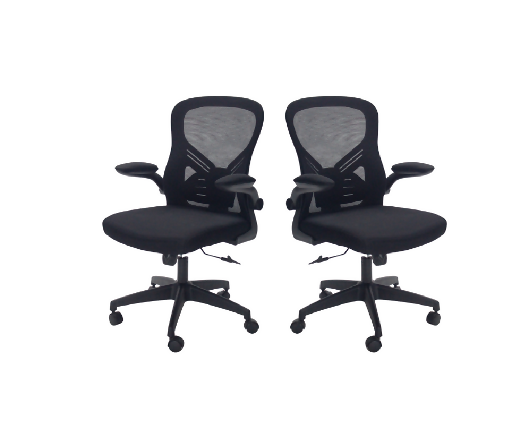 Silla Ejecutiva Valencia X2