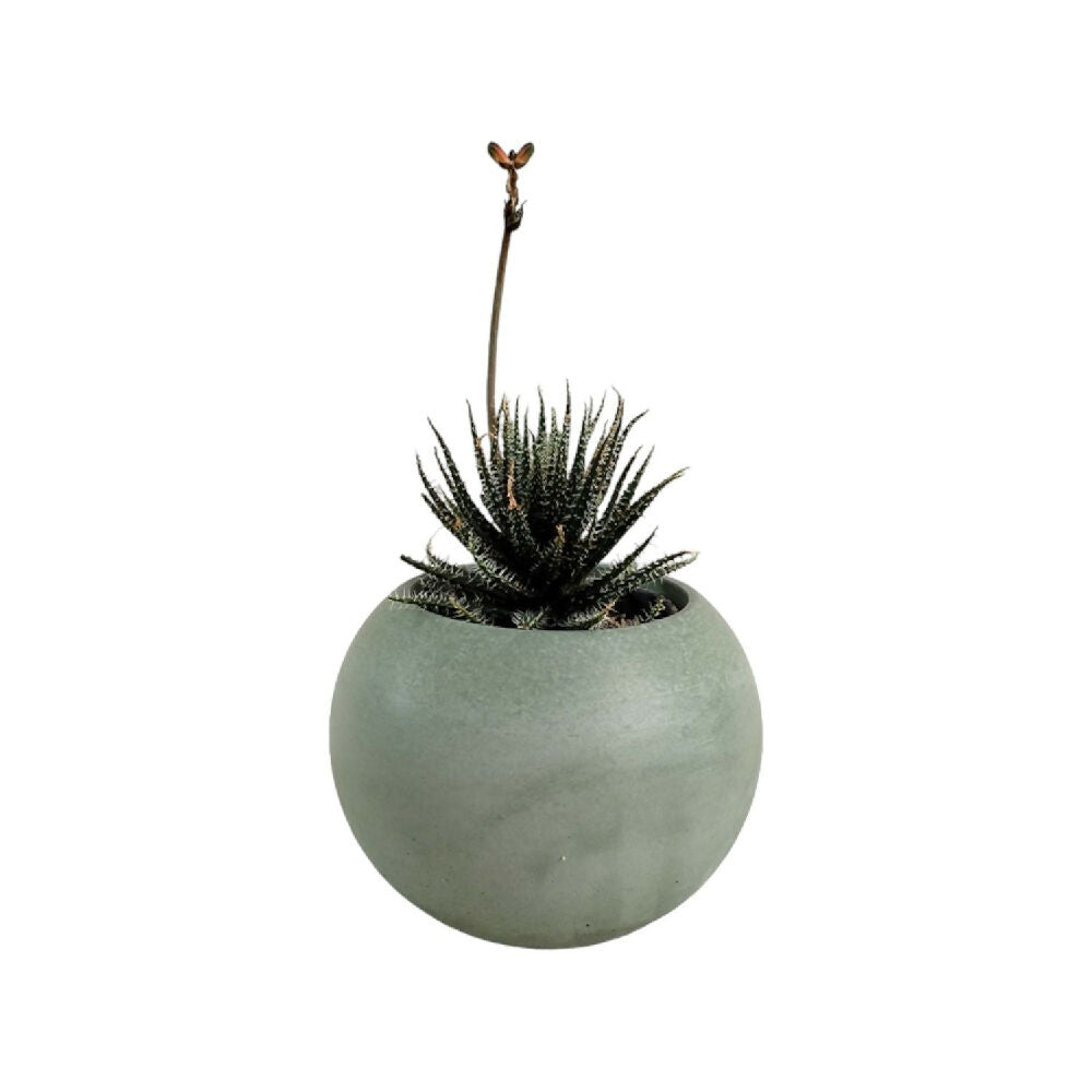 matera de mesa en cemento luna mini verde oliva de concreto tienda online de materas y decoración_01