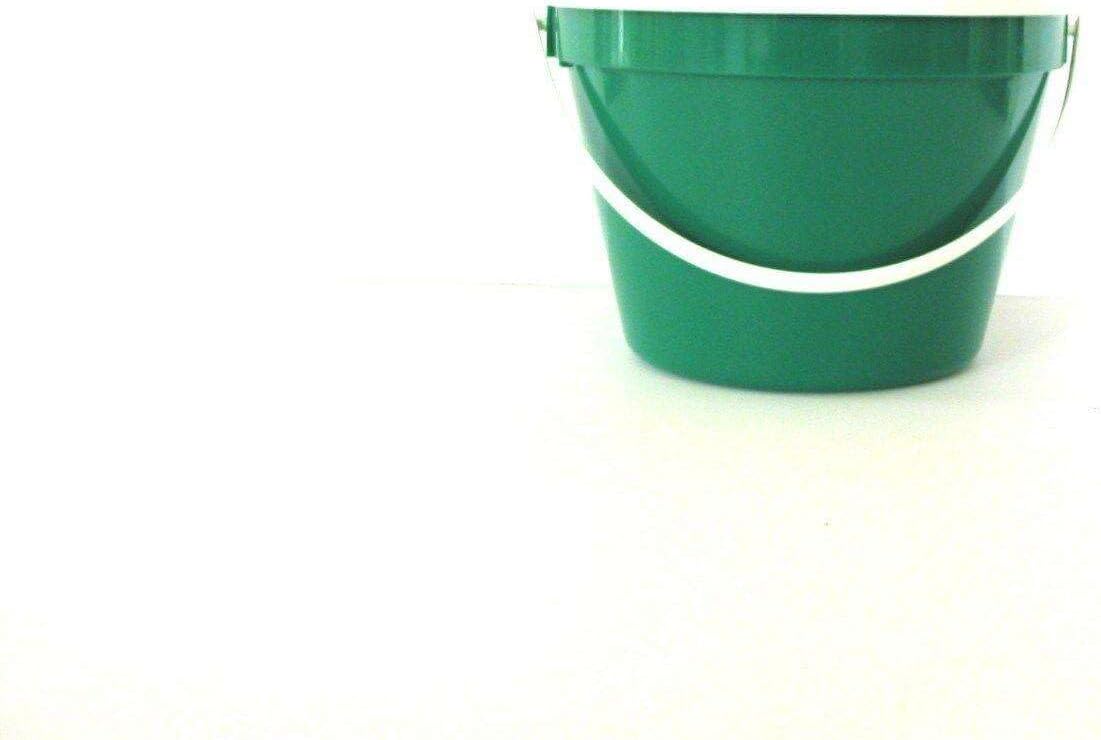 VBSQ Cubo y tapa verde de 1 a 1 galón, cubos de plástico, cubos de limpieza,