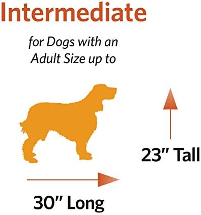 MidWest Homes for Pets - Jaula para perros iCrate de una puerta, mejorada,...
