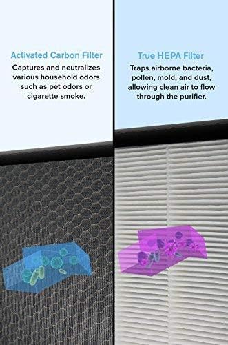 Repuesto de 2 filtros de aire HEPA y 8 prefiltros de carbono compatibles con el...