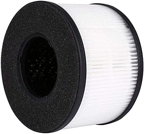 BS-03 - Filtro de repuesto True HEPA compatible con PARTU y SLEVOO BS-03 HEPA...