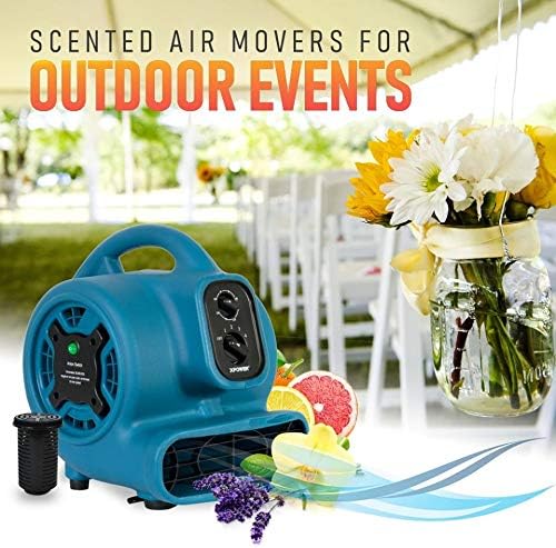 XPOWER P-260NT - Ventilador difusor de aroma con aroma aromático Freshen Air...