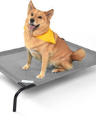 COOLAROO Cama elevada y refrescante para perros, para interiores y exteriores,...