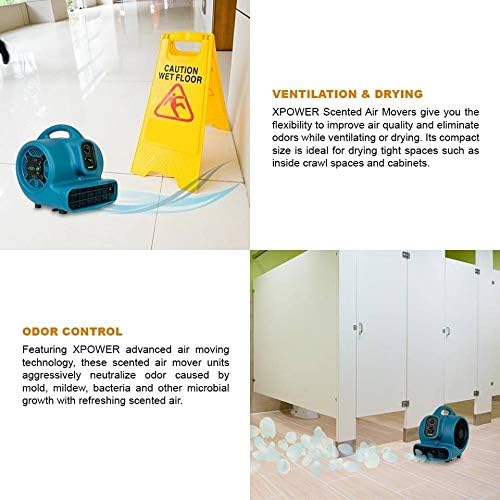 XPOWER P-260NT - Ventilador difusor de aroma con aroma aromático Freshen Air...