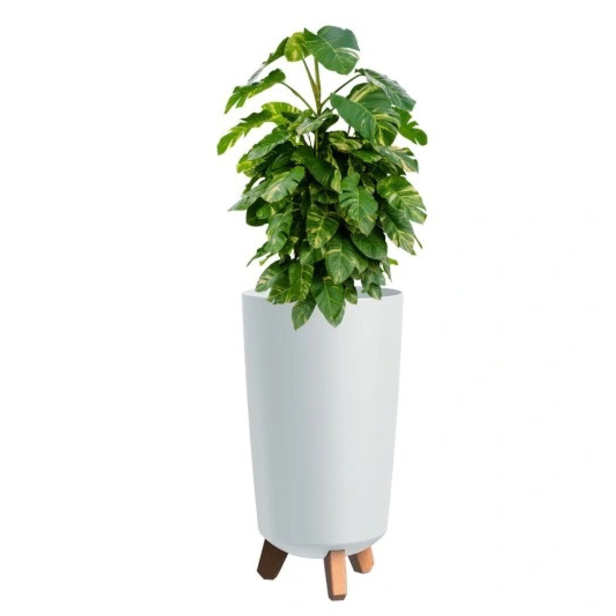 Matera Gracia Tubus 45 cm Blanco