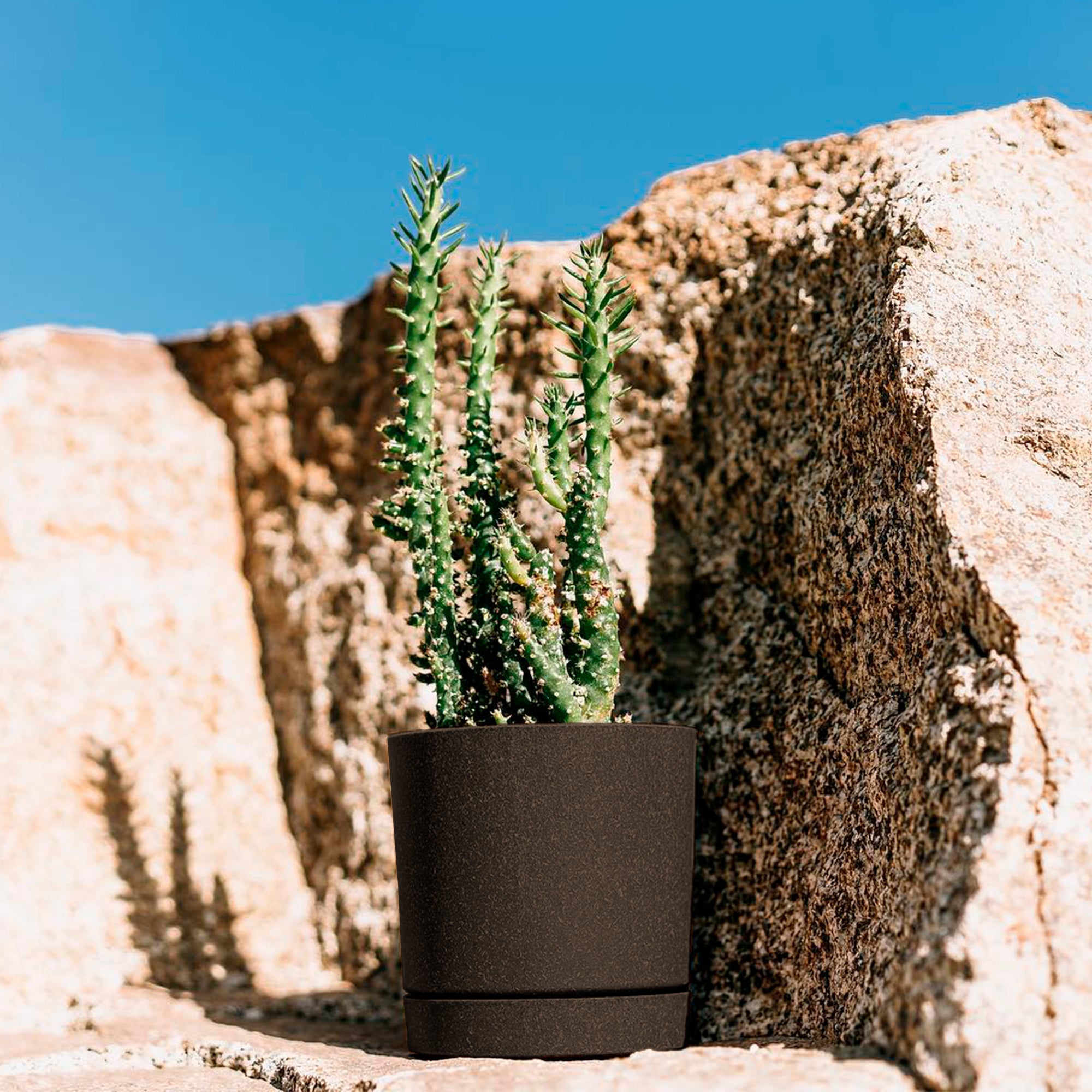 Matera Tubo P Eco 20 cm Café
