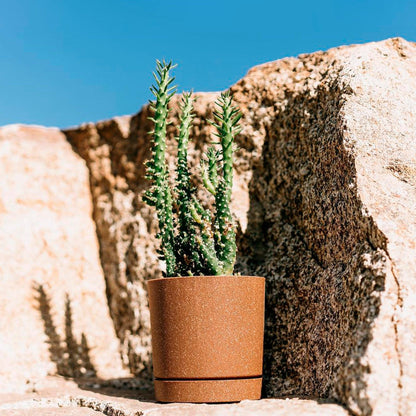 Matera Tubo P Eco 20 cm Café Claro