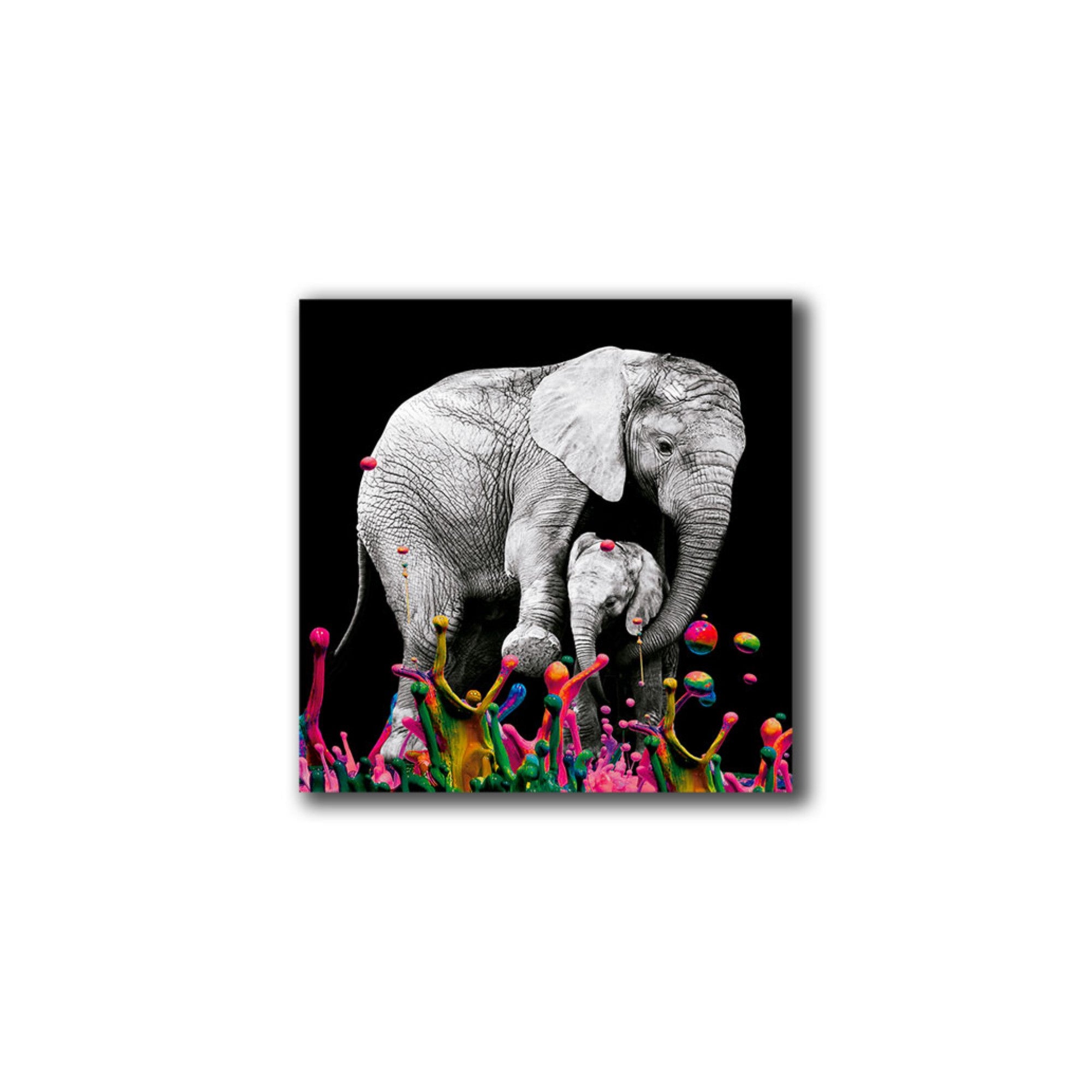 Cuadro Decorativo Elefante Pintura Piso S 30X30 cm - Impresion en Tela