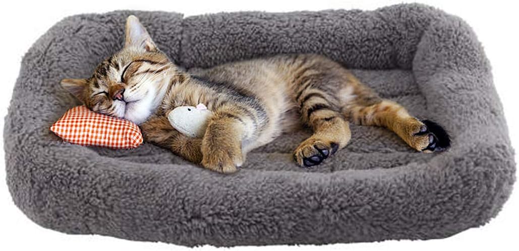 Enjoying Tapete de cama de felpa para gatos de 10 x 15 pulgadas, cojín para...