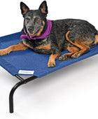 COOLAROO Cama elevada y refrescante para perros, para interiores y exteriores,...