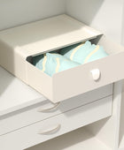 Cajón organizador de ropa interior, cajón de sujetadores de plástico con 1...
