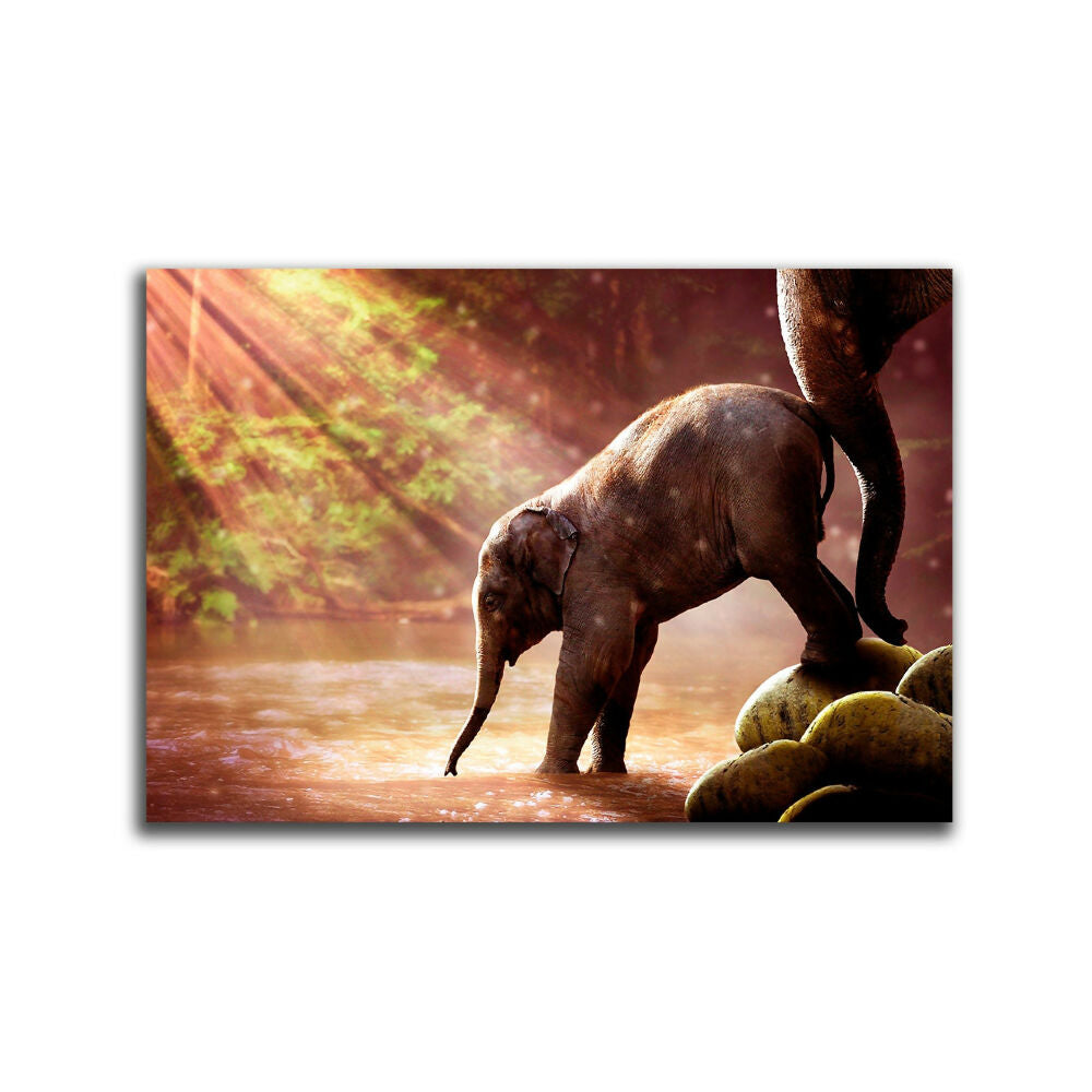 ELEFANTE PEQUEÑO XL_1