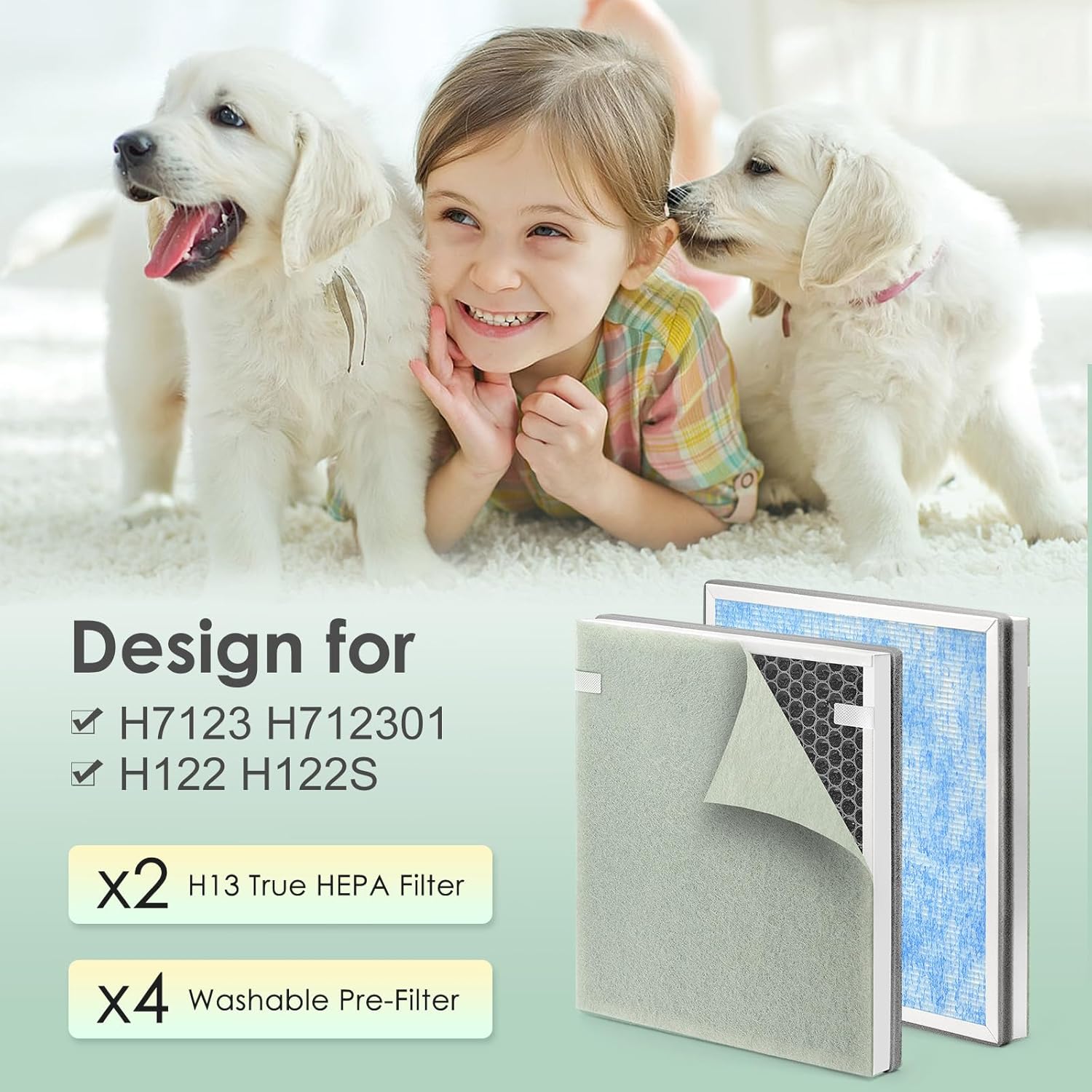 H7123101 H21 H211S - Filtro de repuesto compatible con filtro de repuesto para...