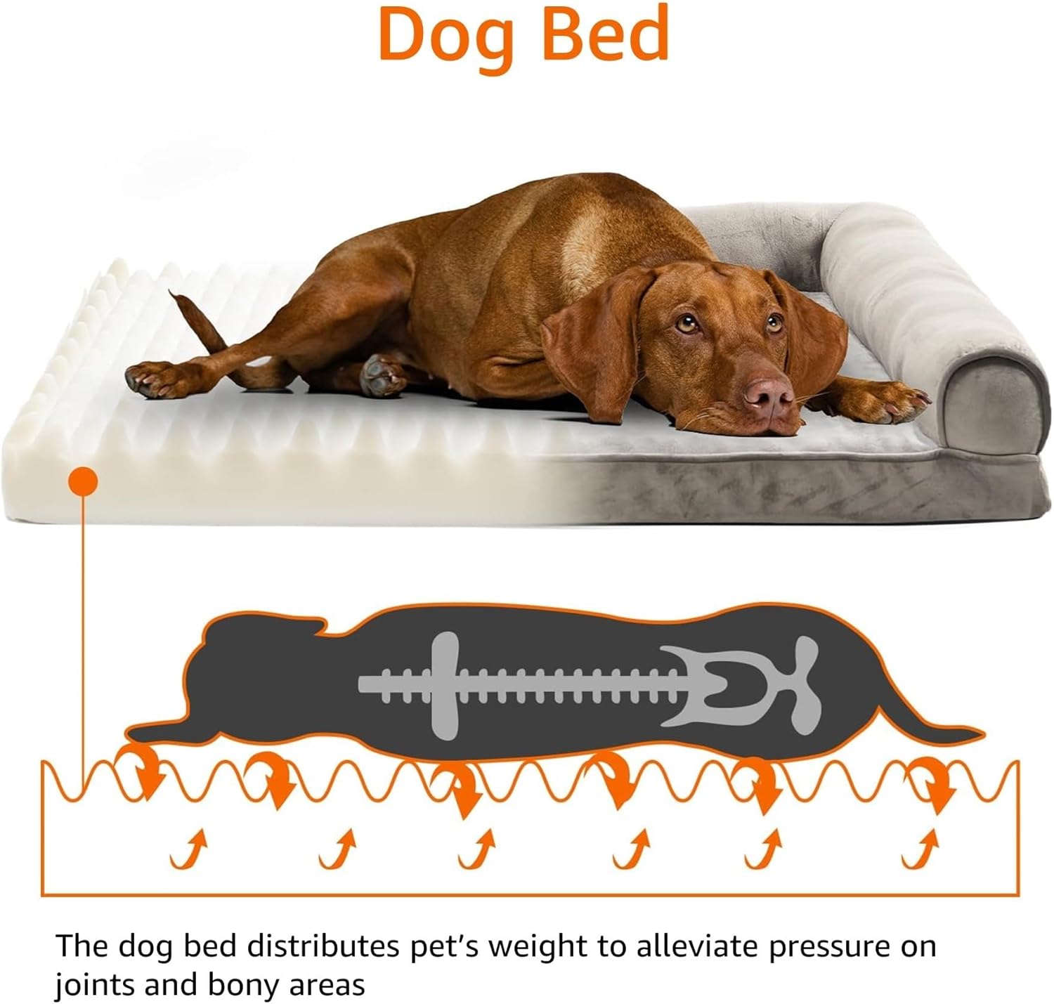 Tienda Basics Sofá ortopédico de espuma para sala de estar, cama para perros y...