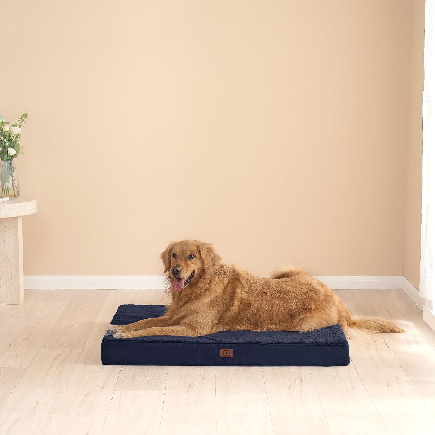 Camas ortopédicas XL para perros extragrandes con funda extraíble lavable,