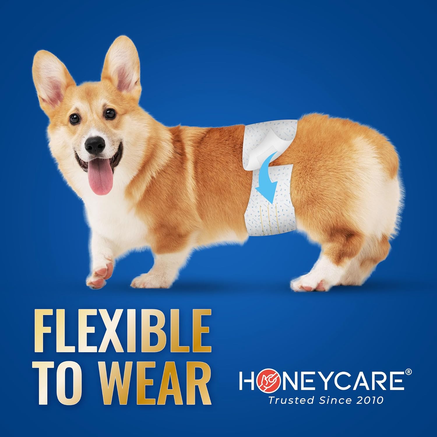 HONEY CARE All-Absorb A26 - Envoltura para perro macho, 50 unidades, pequeña