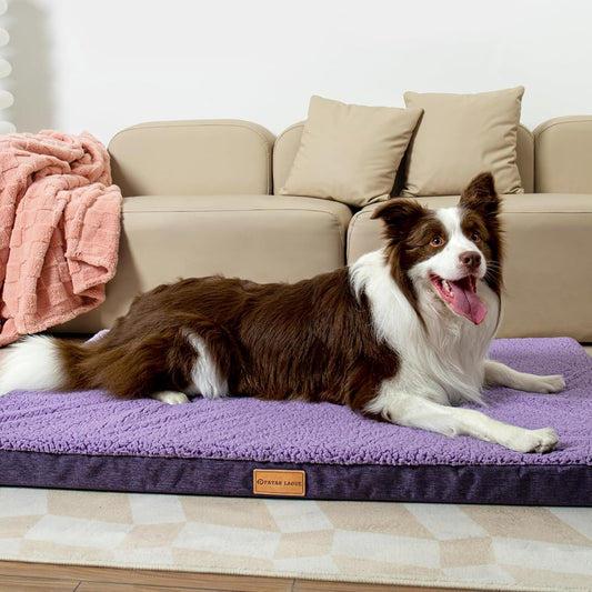 Patas Lague Cama ortopédica para perros medianos de 36 x 24 pulgadas, suave y...