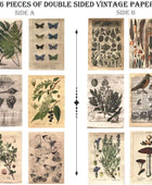 Paquete de calcomanías adhesivas estéticas vintage para manualidades.